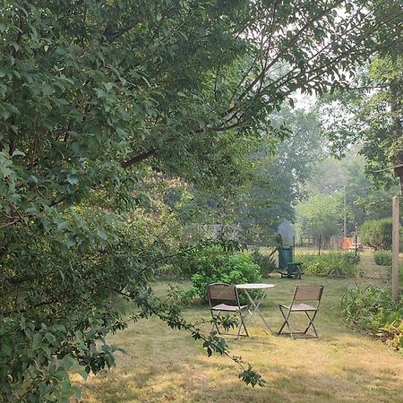 Chalet Dans La Foret....Adorable 1 Bedroom Chalet Surrounded By Woodland Pressignac Екстер'єр фото